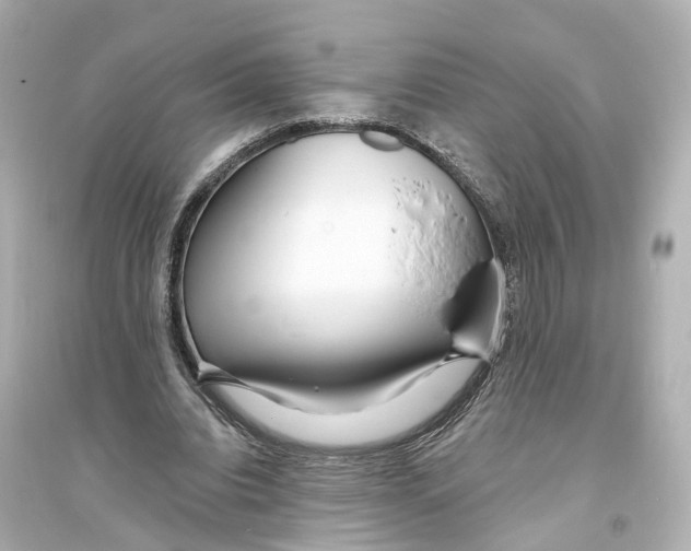 X0000093760440200711131152