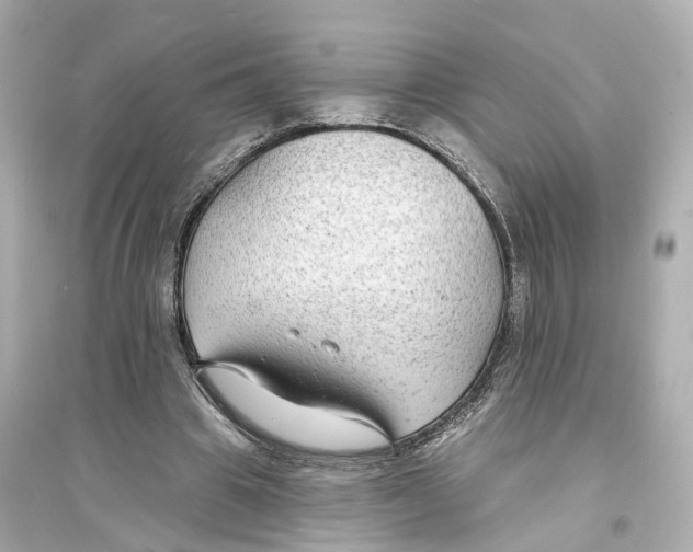 X0000093760441200711131152