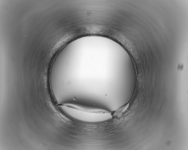 X0000093760442200711131152