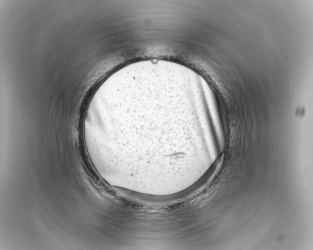 X0000093760443200711131152