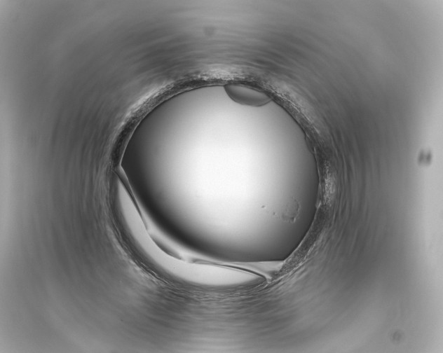 X0000093760444200711131152