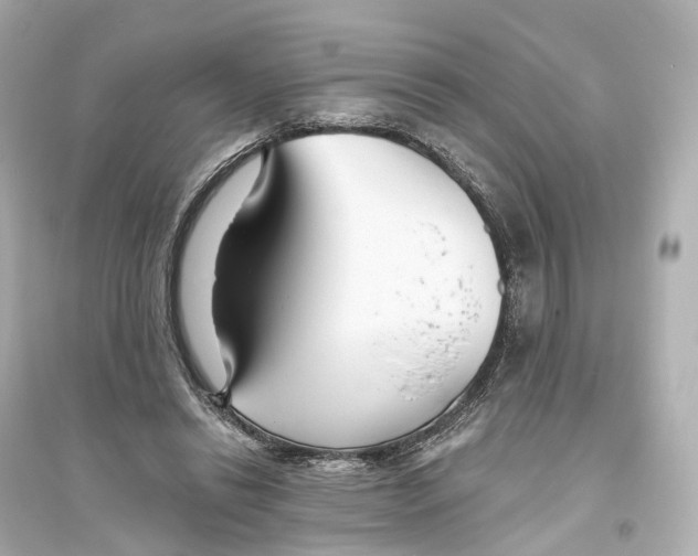 X0000093760446200711131152