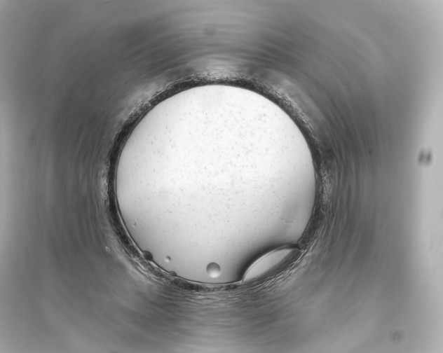 X0000093760447200711131152