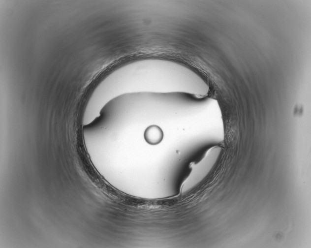 X0000093760448200711131152