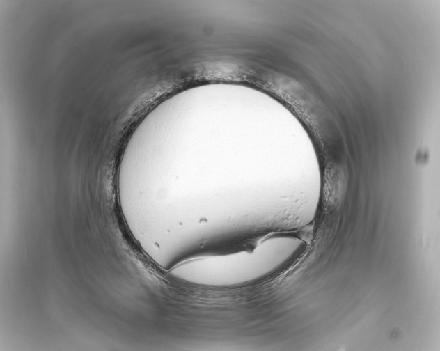 X0000093760449200711131152