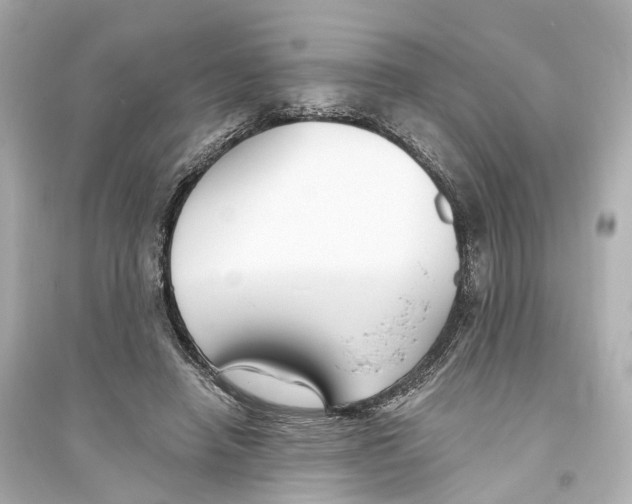 X0000093760450200711131152