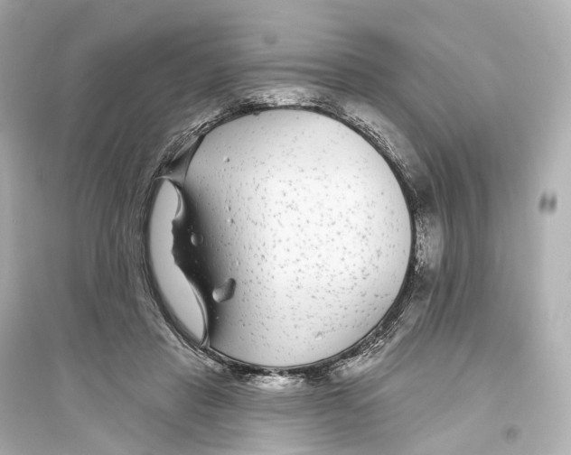 X0000093760453200711131152