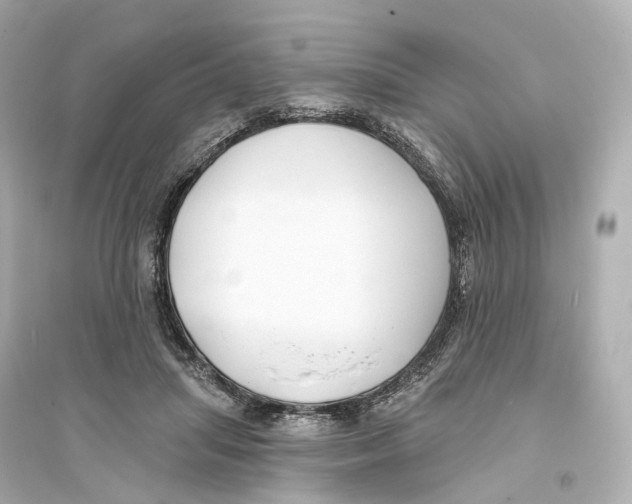 X0000093760455200711131152