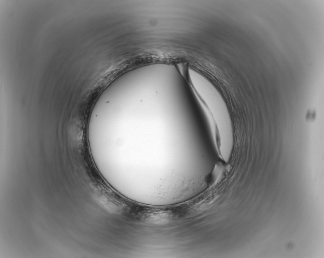 X0000093760456200711131152