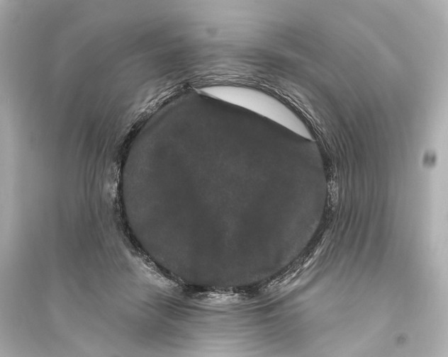 X0000093760458200711131152