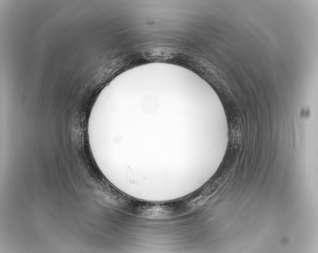 X0000093760460200711131152