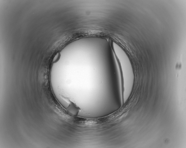 X0000093760462200711131152