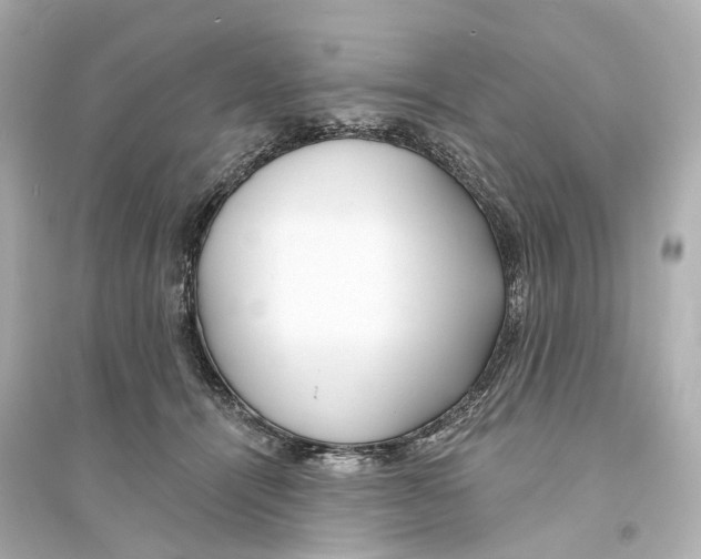 X0000093760464200711131152