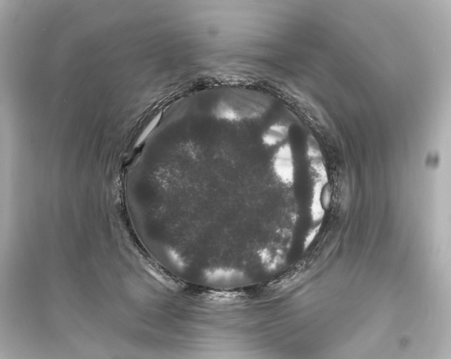 X0000093760465200711131152