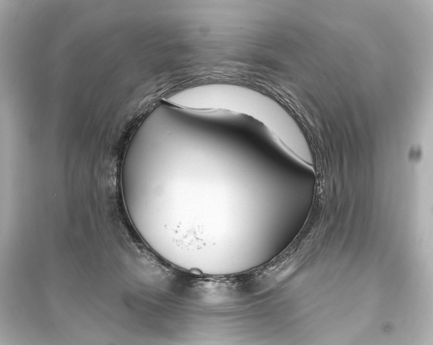 X0000093760466200711131152