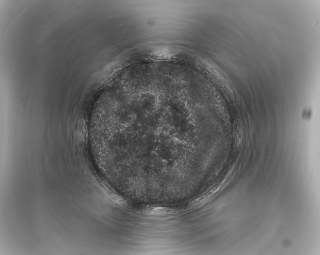 X0000093760467200711131152