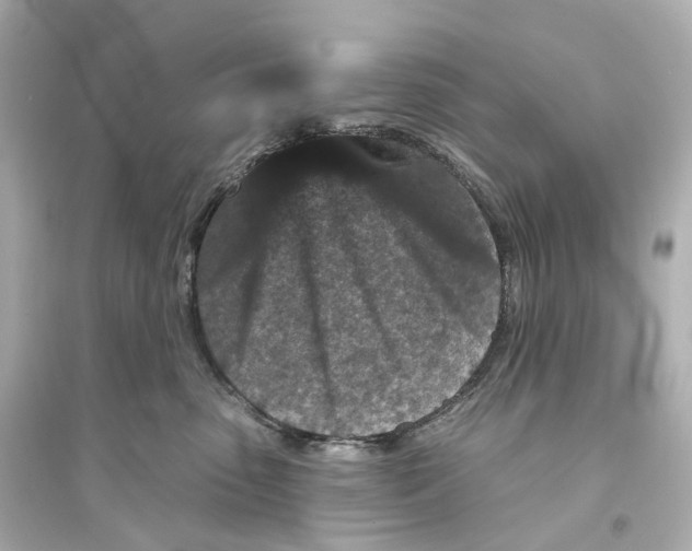 X0000093760475200711131152