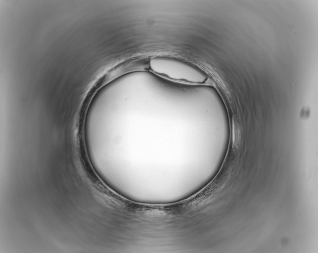 X0000093760483200711131152