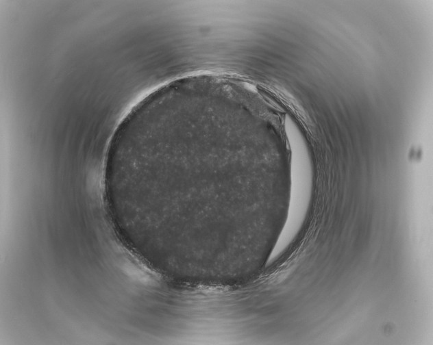 X0000093760484200711131152