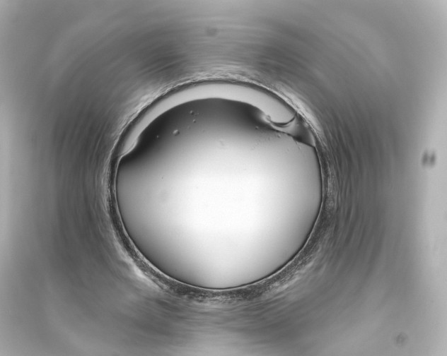 X0000093760485200711131152