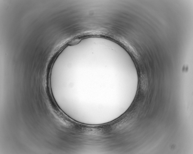 X0000093760486200711131152