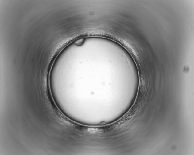 X0000093760487200711131152