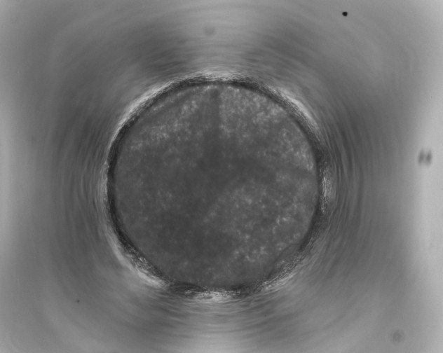 X0000093760492200711131152