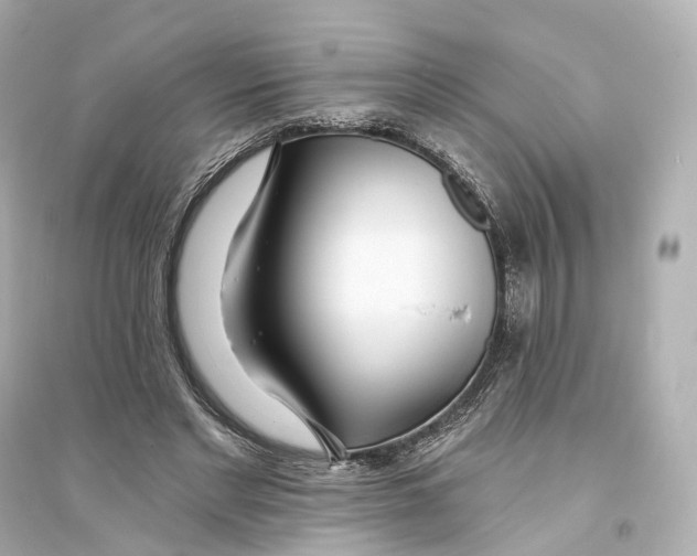 X0000093760493200711131152