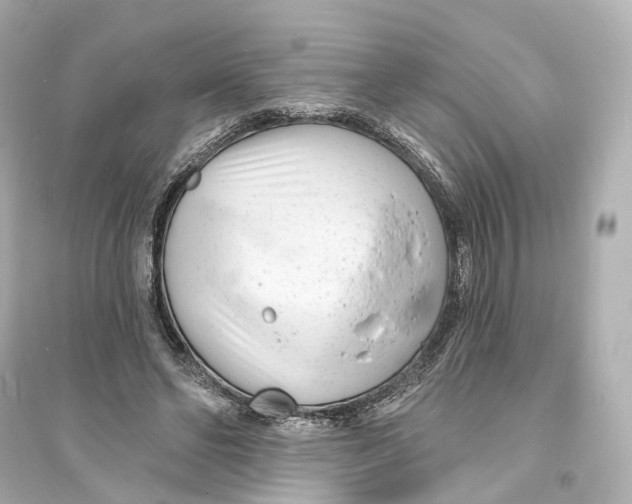 X0000093760494200711131152