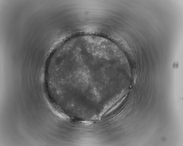 X0000093760496200711131152