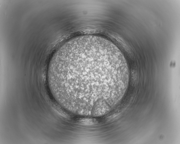 X0000093760499200711131152