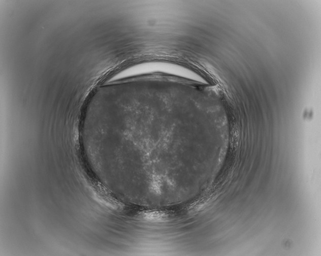 X0000093760500200711131152