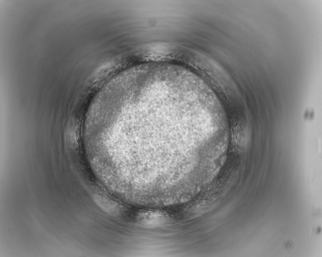 X0000093760503200711131152