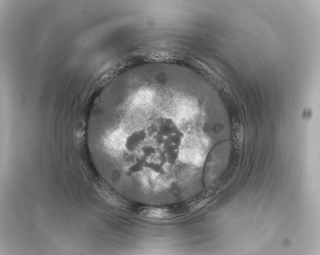 X0000093760507200711131152