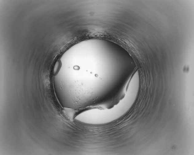 X0000093760508200711131151