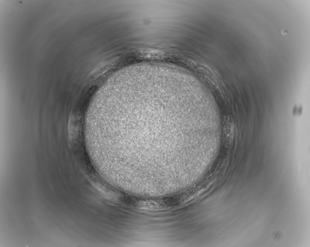 X0000093760511200711131151