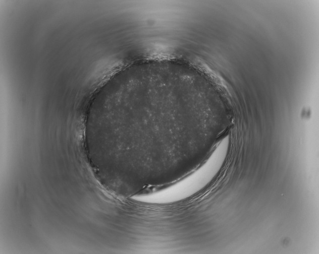 X0000093760517200711131151