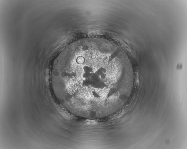 X0000093760519200711131151