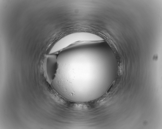 X0000093760520200711131151