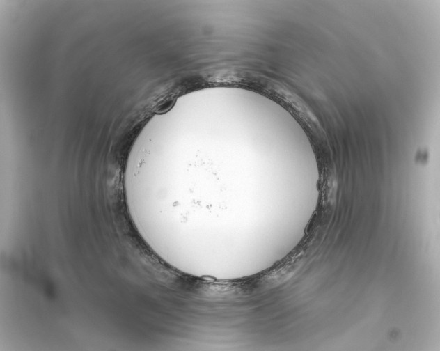 X0000093760521200711131151