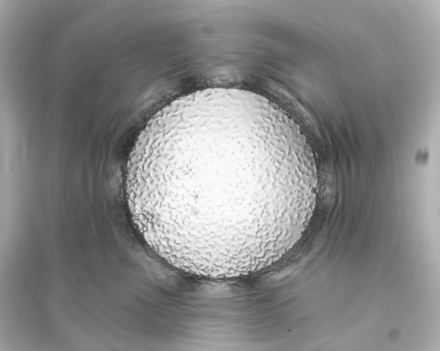 X0000093760523200711131151