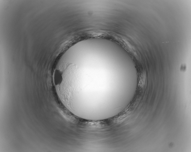 X0000093760524200711131151