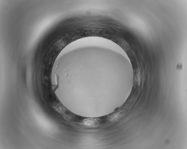 X0000093760526200711131151