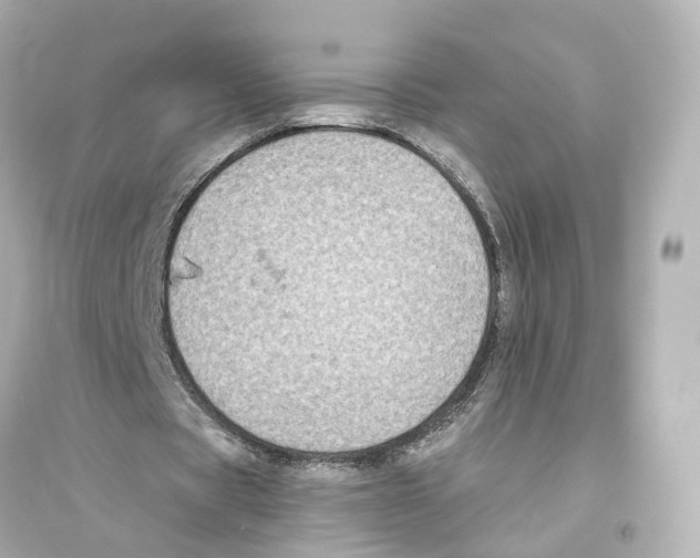 X0000093760529200711131150