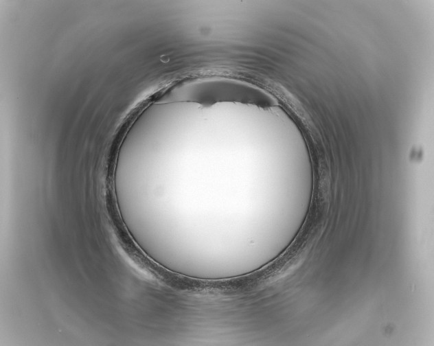 X0000093760530200711131150