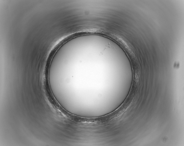 X0000093760532200711131150