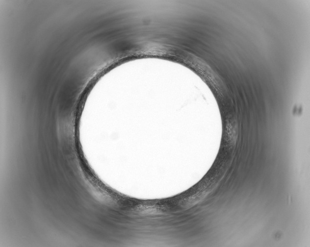 X0000093760534200711131150