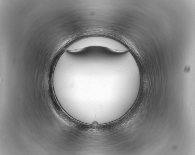 X0000093760538200711131151