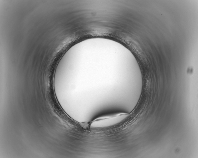 X0000093760539200711131151