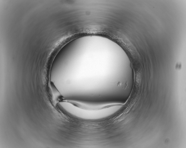 X0000093760540200711131151